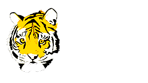 Tiger Within